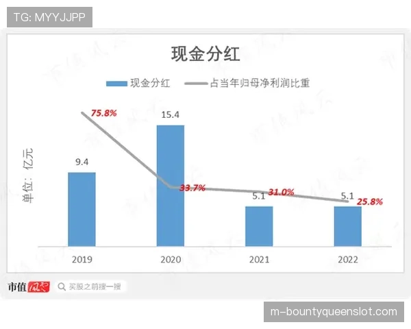 深度报道:德甲中游球队的生存之道——转会策略与青训投入分析